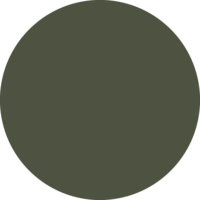 Storm Green
            