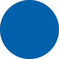 Electric Blue
            