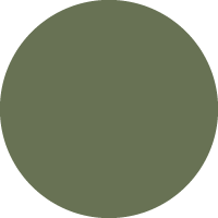 Matte Armoured Green Metallic
                                    