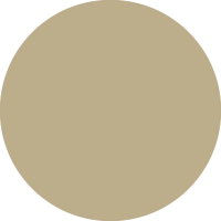 Bronzo Deserto
            