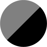 Ice Gray / Super Black
            