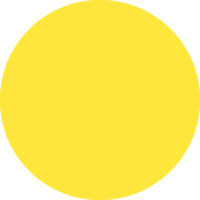 Champion Yellow No.2
                                    