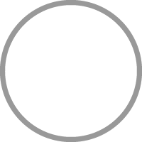 Opalescent White
            