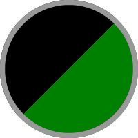 Mirror Coated Matte Spark Black / Candy Flat Blazed Green
                                    