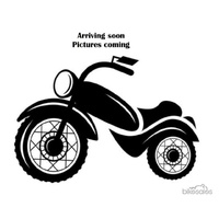 2019 Harley-Davidson Street 500 (XG500)