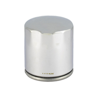 Champion Oil Filter Element - COF074C [Chrome]