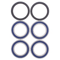 All Balls WBS Kit - Rear Can-Am DS450