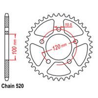 Rear Sprocket - Steel 43T 520P