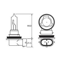 Bulb - Halogen 12V 65W - H9 - PGJ19-5