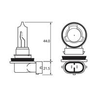 Bulb - Halogen 12V 65W - H9 - PGJ19-5