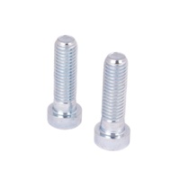 Xtrig Bolt Kit Flexfix M12x40