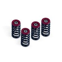 DUCATI CLUTCH SPRING KIT, RED