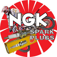 NGK R0409B-8 Group 13 - Single Plug