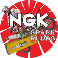 NGK LKAR8AI-9 - Single Plug