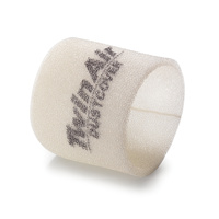 Air filter dust protection