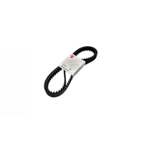 Ducati Genuine Timing Drive Toothed Belt