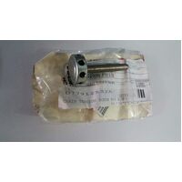 Ducati Genuine Screw, Special
