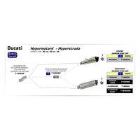 ARROW 71806PK Silencer - RACE-TECH Titanium with Carbon End Cap - - DUCATI HyperStrada 821 / 939