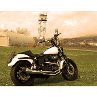 Arrow Mohican 2:1 Full System for H.D.® Dyna Models in Polished SS