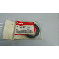 DUST SEAL 38X55X6
