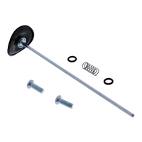 Accelerator Pump Rebuild Kit 46-3012