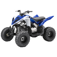 Yamaha Graphics Kit (for Raptor 90)