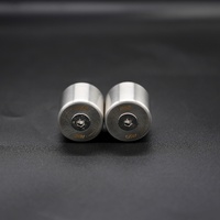 R&G Stainless Bar Ends, Harley-Davidson Pan America '21-