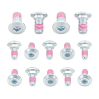 Bolt Disc / Rotor Bolts RM125/250