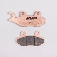 Braking Pads - 725 | P30 Scooter Sintered