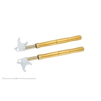 Front fork R&THonda CBR1000RR (SET)