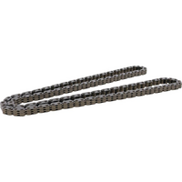 Cam Chain - Can Am