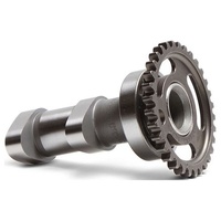 Hot Cams Camshaft Stage 2 Intake Suzuki Rmz250 10-18