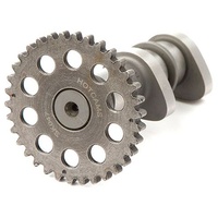 Hot Cams Camshaft Stage 2 Intake SUZUKI DRZ400 2004-2012