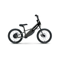 Elektrode 20FS (MY26)