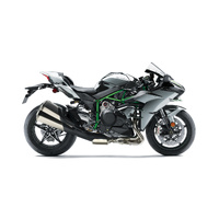 Ninja H2 (MY24)