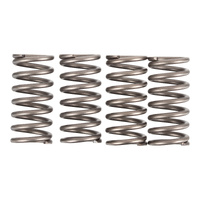 Premier Clutch Springs - Heavy Duty