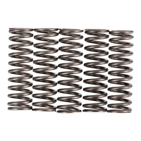 Premier Clutch Springs - Heavy Duty