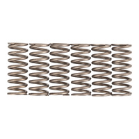 Premier Clutch Springs - Heavy Duty