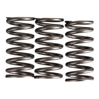Premier Clutch Springs - Heavy Duty