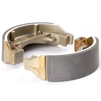 Premier Brake Shoes w/ Springs