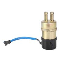 Quantum Frame-mounted Electric Fuel Pump