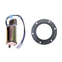 Quantum In-tank Electric Fuel Pump w/ Tank Seal