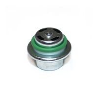 Quantum Fuel Pressure Regulator