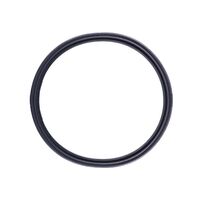 Quantum Fuel Pump Tank Seal Gasket