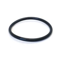 Quantum Fuel Pump Tank Seal Gasket