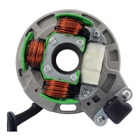 STATOR SUZUKI RMX 250 1989 -1998 (RM01385)