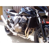 RAD SLIDERS Z750 UP TO 06