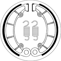 SBS 2046 BRAKE SHOES | WITH SPRINGS