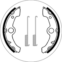 SBS 2178 BRAKE SHOES | WITH SPRINGS