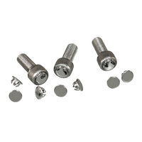 Yamaha Chrome Allen Bolt Plugs (for XV250 Virago)